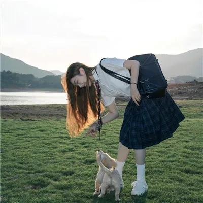 画中仙